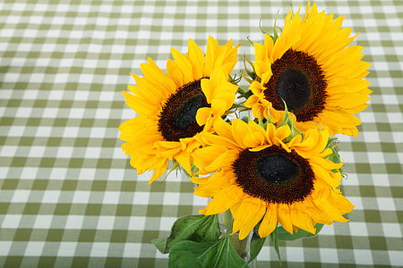 three yellow sunflowers thumbnail