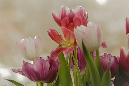 selective focus photography of flowers thumbnail