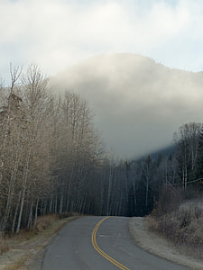photography of brown tree and black mountain thumbnail