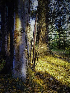 tree branch thumbnail