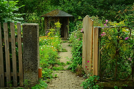 brown wooden gate open surrounded garden flower thumbnail