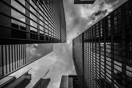 grayscale photo of highrise building thumbnail