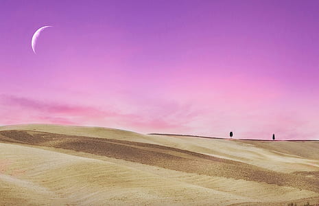 two person standing on brown sand thumbnail