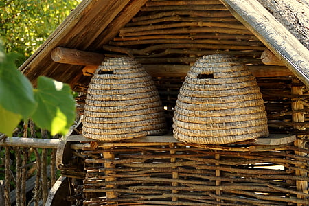 two brown dome nest boxes near wooden house thumbnail