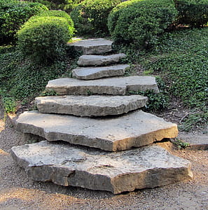 gray concrete stair near topiary plants thumbnail
