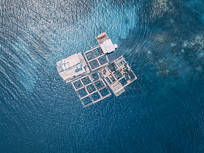 white panels on body of water thumbnail