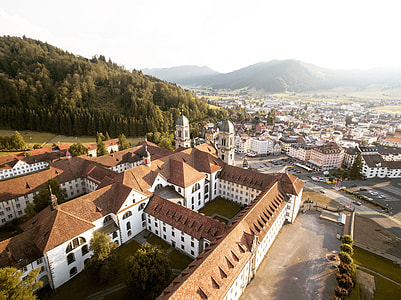 aerial view of town near forest thumbnail