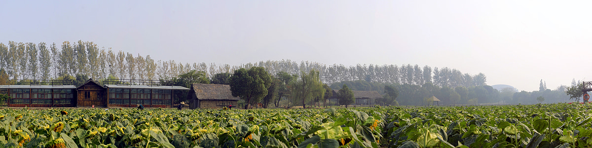 green field near building thumbnail