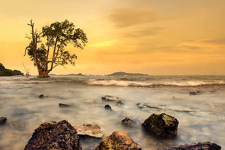body of water during sunset thumbnail