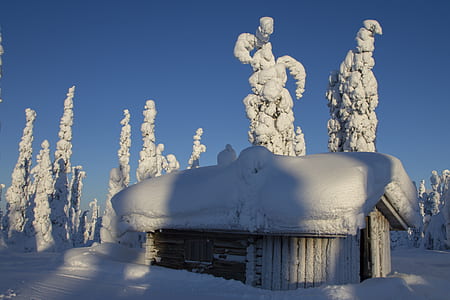 house covered by snow under blue calm sky thumbnail