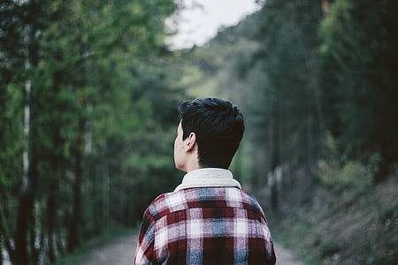 man standing on forest pathway looking at trees thumbnail