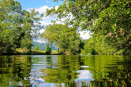 projection photography of body of water near green leaf trees thumbnail