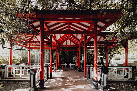 Tropical Botanical Garden in Belem, Lisbon, Portugal thumbnail