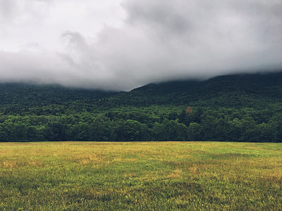 green grass field near mountains at daytime thumbnail