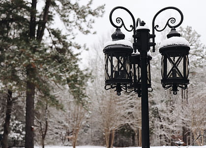 outdoor post lamp near trees thumbnail