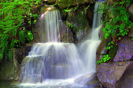 waterfalls surrounded by plants thumbnail