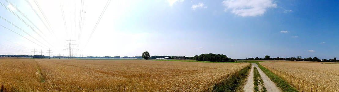 pathway between crop field thumbnail
