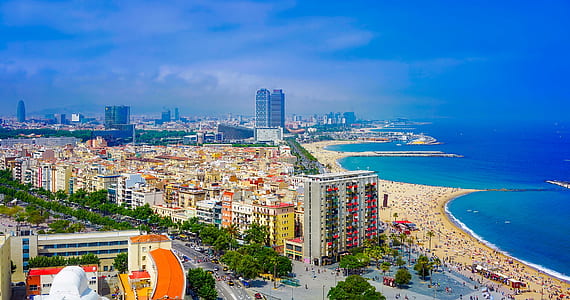 aerial photography of concrete buildings near ocean under blue sky thumbnail