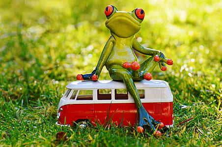 green frog riding bus forced-photography thumbnail