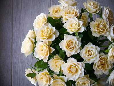 closeup photo of yellow roses thumbnail