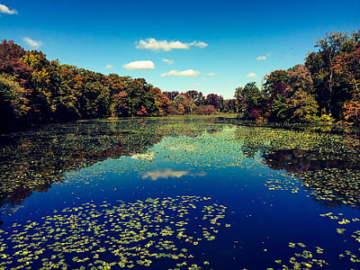 calm body of water thumbnail