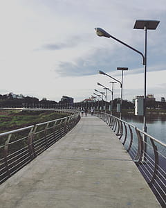 People Walking in Middle of Pathway thumbnail