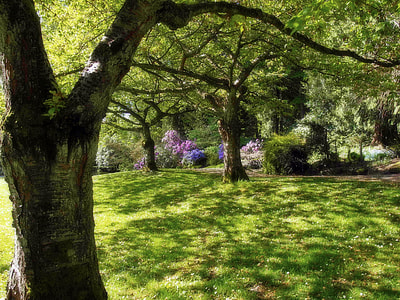 Stanley Park, Vancouver thumbnail