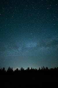 time lapse photography of silhouette of trees and shooting star thumbnail