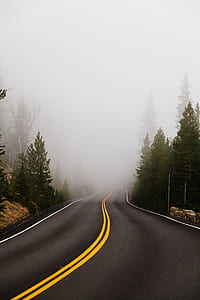 empty asphalt road surrounded with fogs thumbnail