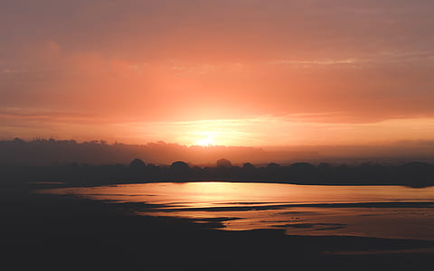 forest and body of water during sunset thumbnail