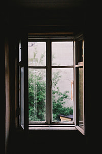 open glass window near green trees thumbnail