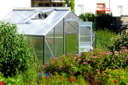 backyard garden thumbnail