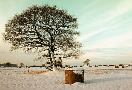 cold, snow, landscape, nature thumbnail