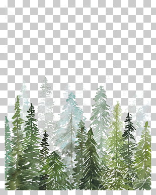 Watercolor painting Printmaking Printing Drawing, Watercolor woods, pine trees painting PNG clipart