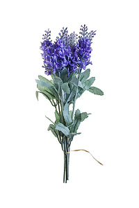 closeup photo of purple petaled flower thumbnail