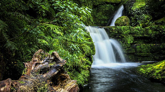 falls with green trees and drift wood thumbnail