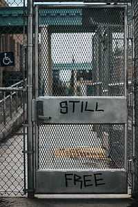 gray cyclone fence door with still free print thumbnail