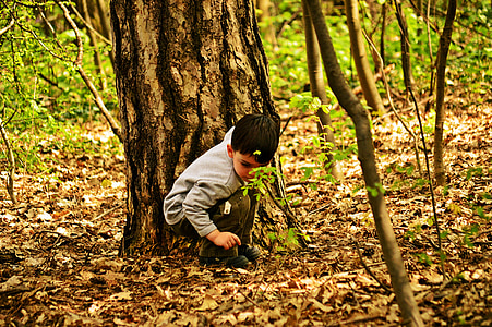 toddler boy sitting beside tree thumbnail