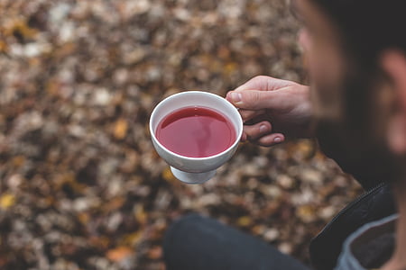 person holding white ceramic teacup thumbnail