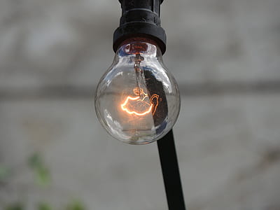 close-up photography of bulb thumbnail