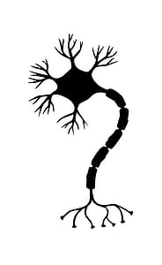 Illustration of a nerve cell. thumbnail