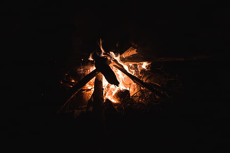 selective focus photography of bone fire thumbnail