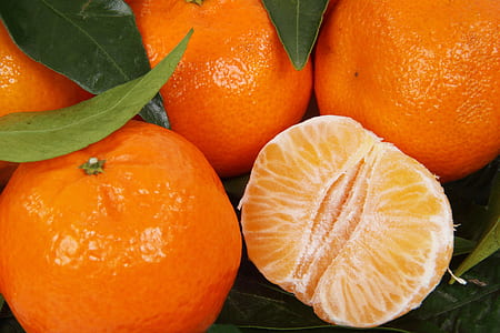 bunch of orange thumbnail