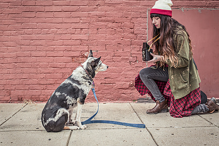 woman in green jacket in front of dog near wall thumbnail