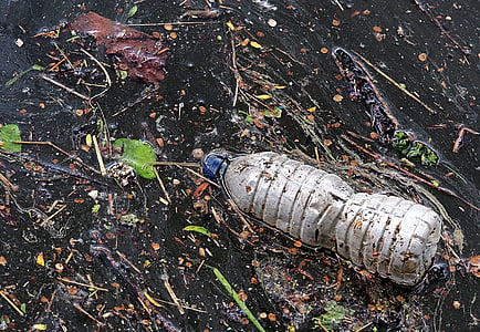 clear plastic bottled water thumbnail