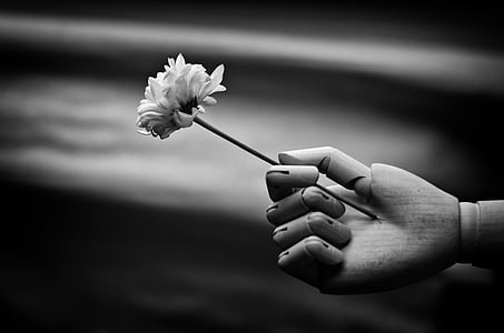 shallow focus grayscale photography of dummy hand holding flower thumbnail