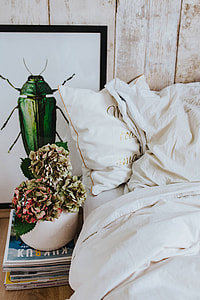 White bed sheets with a picture of a green beetle and a pot plant on a stack of magazines thumbnail