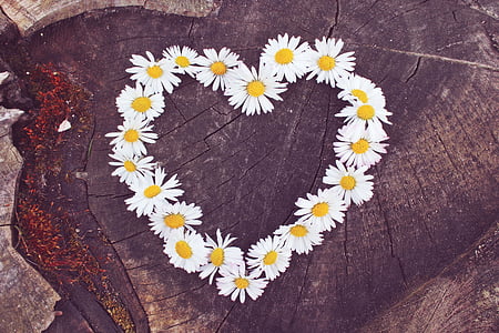 white daisies heart decor thumbnail