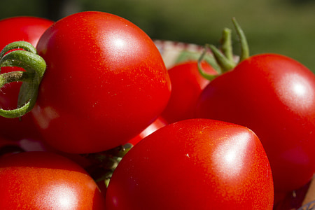 red tomato fruits thumbnail
