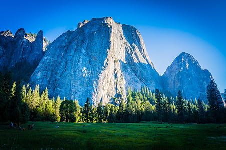 Green Leaved Trees Near Mountains thumbnail